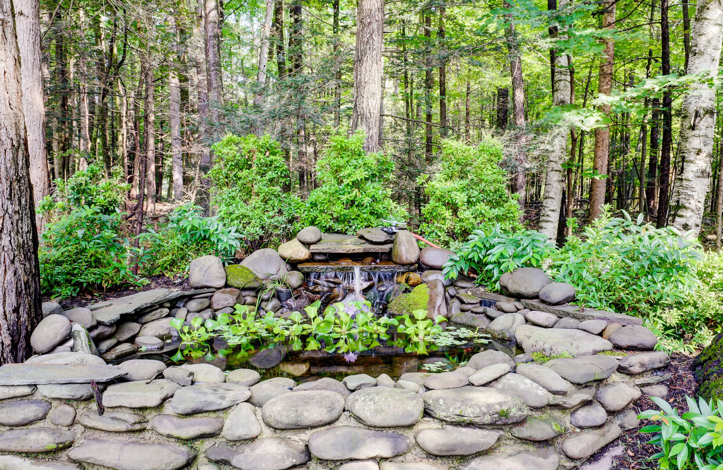 Jardines del alojamiento