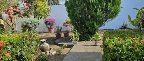 Área da propriedade