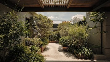 Jardin