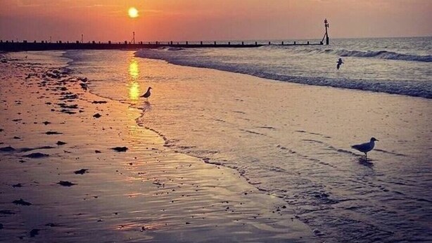 A beach scene with a sunset, waves, and birds. - Large house (Norfolk) | Sleeps12 | 2min walk to beach | Dogs poss (2) | Playroom (SHERINGHAM)