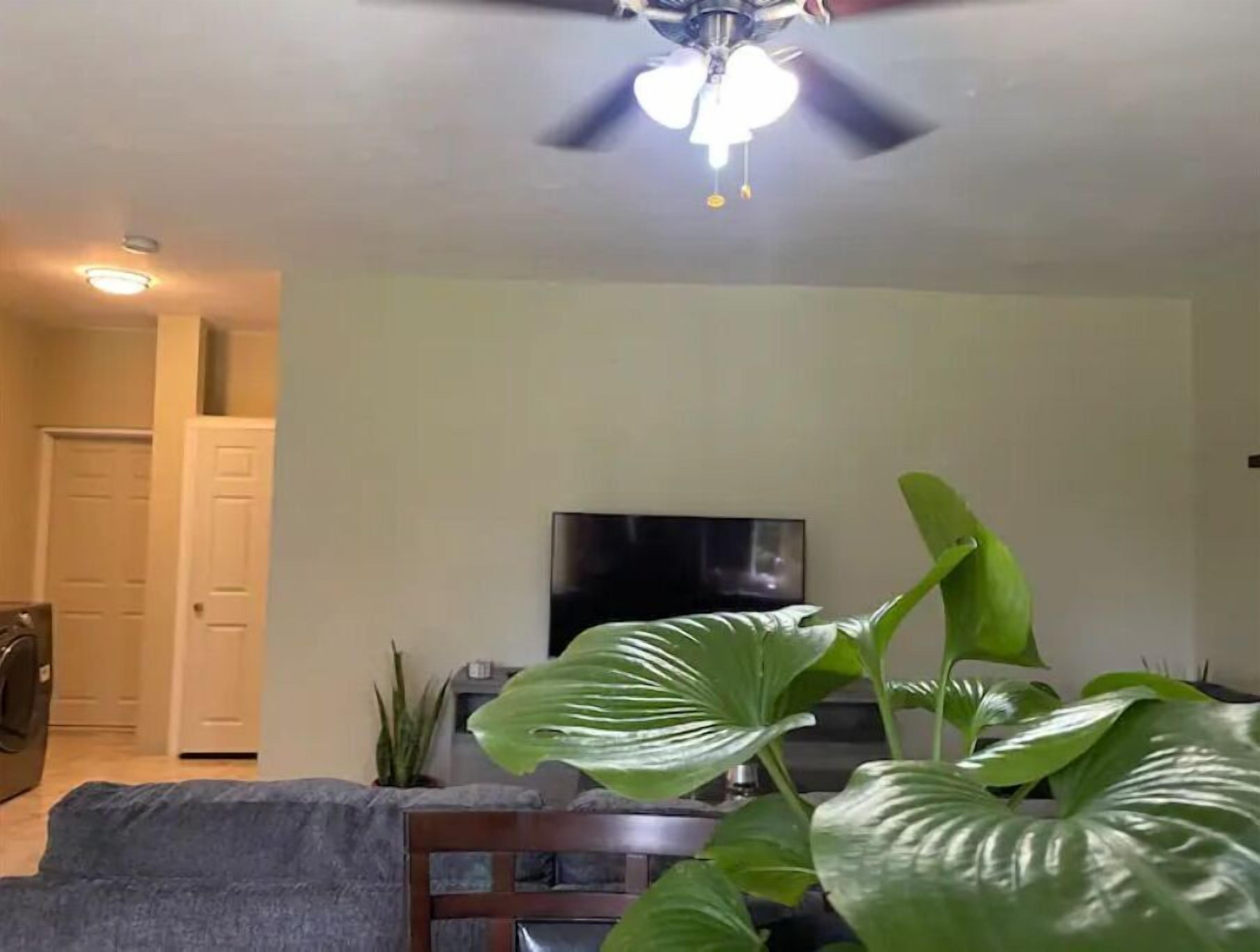 Una sala de estar con ventilador de techo, televisor de pantalla plana y plantas verdes grandes.