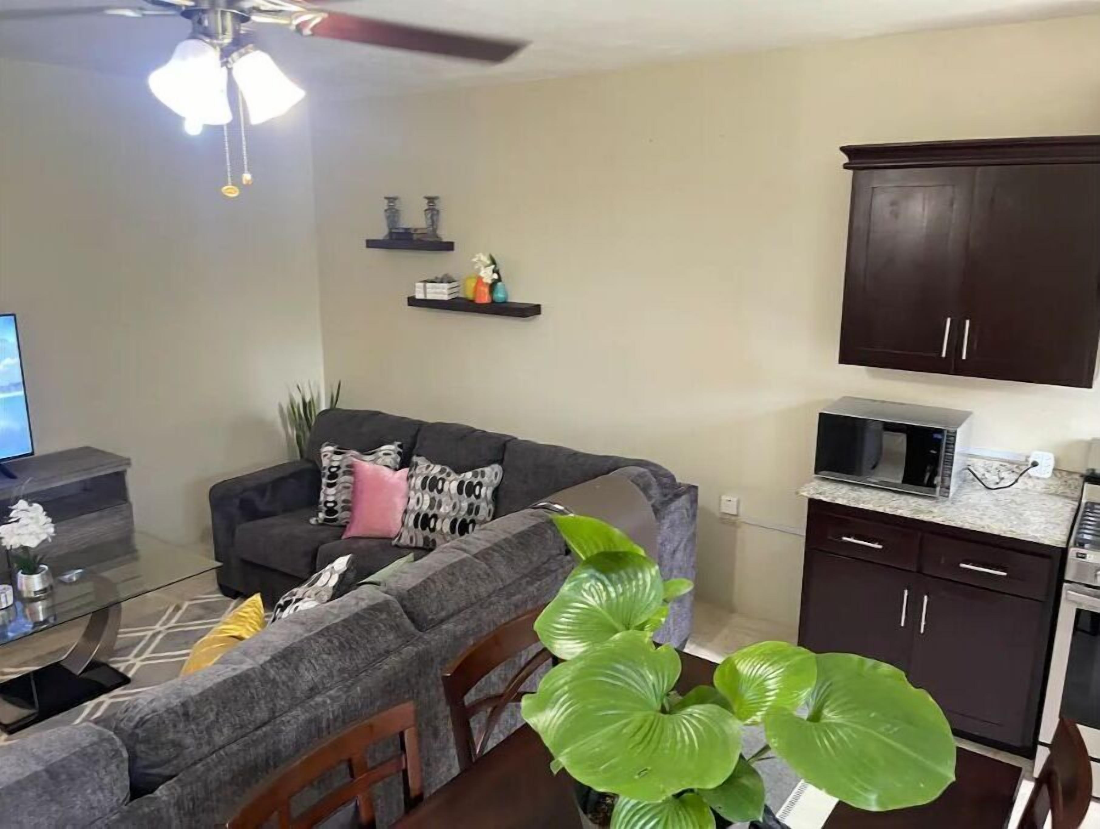 Una sala de estar con sofá, mesa de centro, televisor, ventilador de techo, área de cocina con armarios, microondas y una planta verde grande.