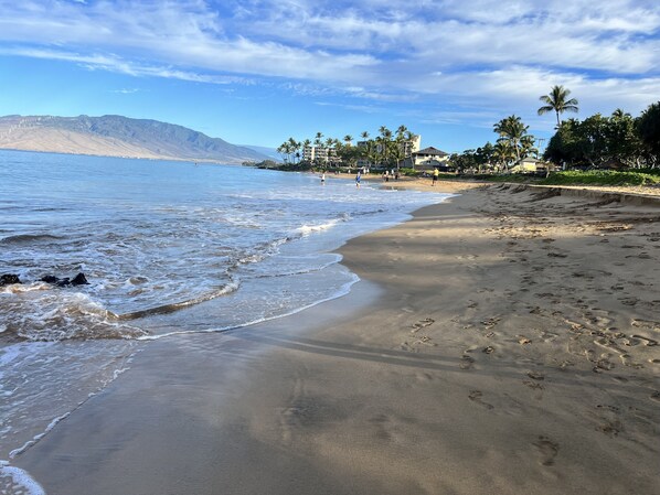 Vlak bij het strand, ligstoelen aan het strand, strandlakens