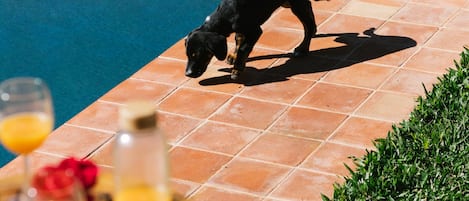 Alberca