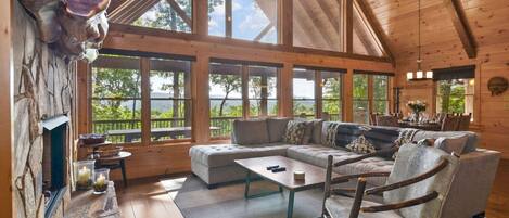 Smart TV, chimenea, libros