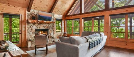 TV connectée, cheminée, livres