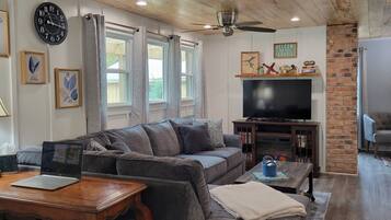 Smart TV, fireplace, DVD player, books