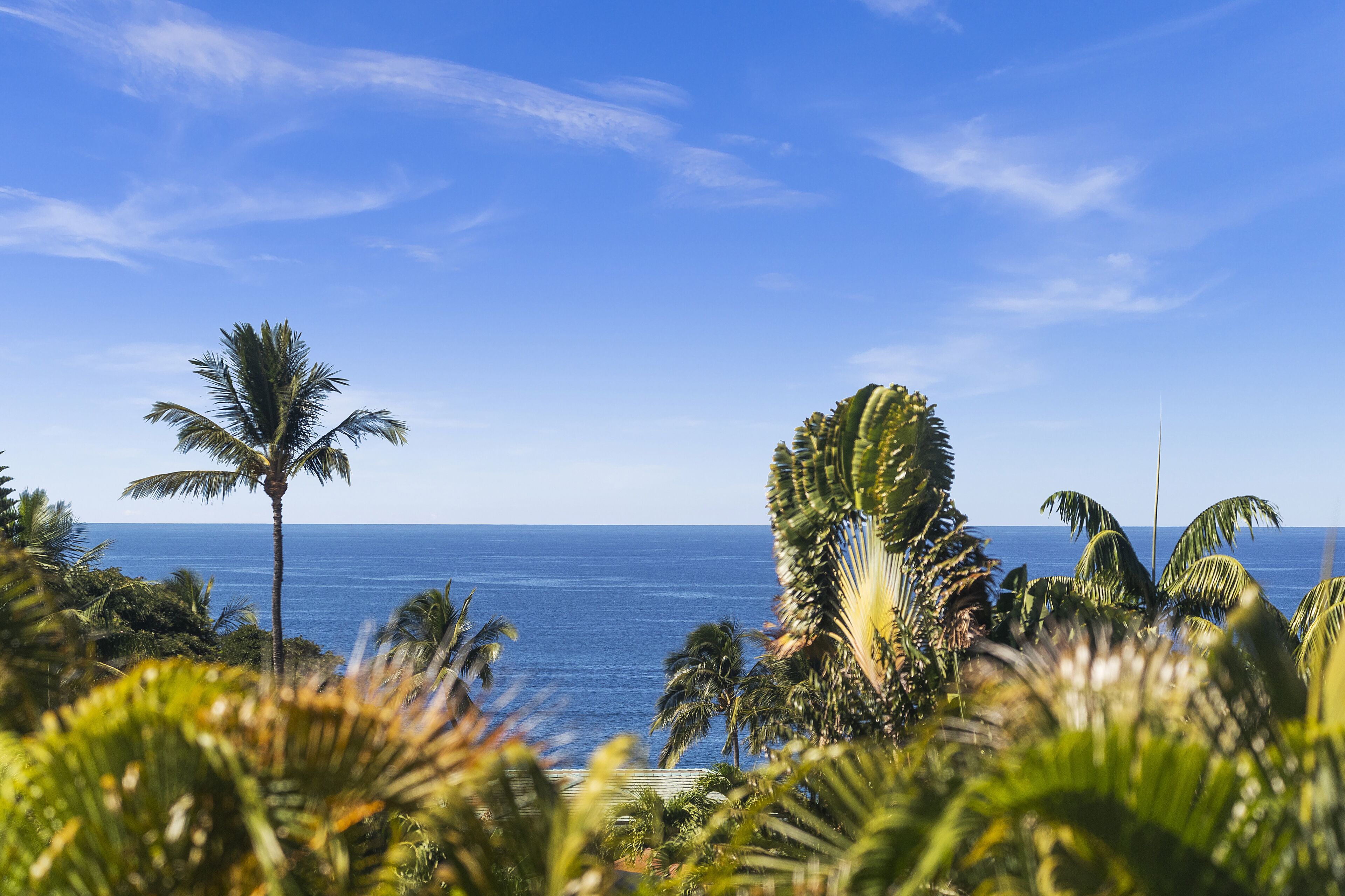 Sun loungers, beach towels
