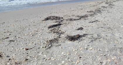 Perfect 2 bedroom house with beautiful in ground pool! Short drive to beaches!