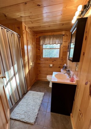 Secador de cabelo, toalhas de banho, sabonete, shampoo