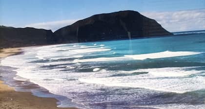 Iconic Wainui Beach a 100m stroll. Relax in Tropical type surroundings.