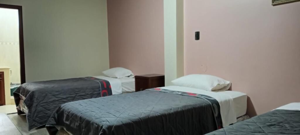 Una habitación con dos camas individuales, cada una con un almohadón blanco y una colcha oscura. Hay una mesita de noche de madera entre las camas.
