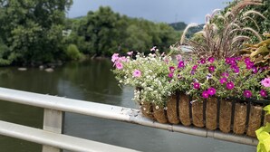 A metal railing with a flower planter attached to it, overlooking a body of water with trees in the background.
