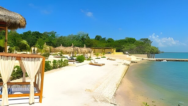 Un resort sulla spiaggia con capanne dal tetto di paglia, sedie a sdraio e vista libera sull'oceano.