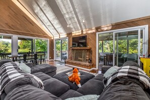 Smart TV, fireplace, books