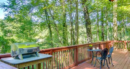 Hendersonville Creekside Cabin: Near DuPont Forest