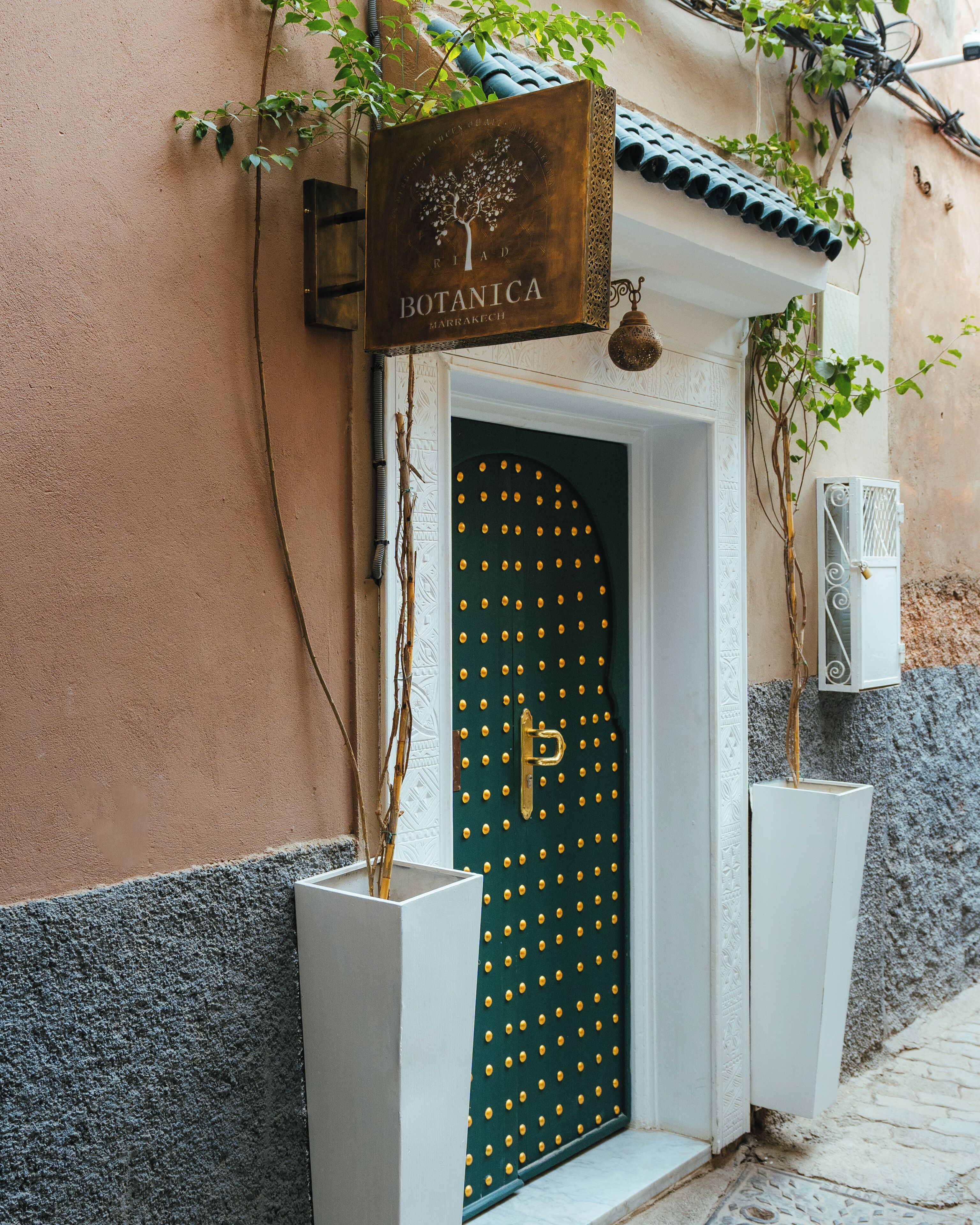 Photo - Riad Botanica