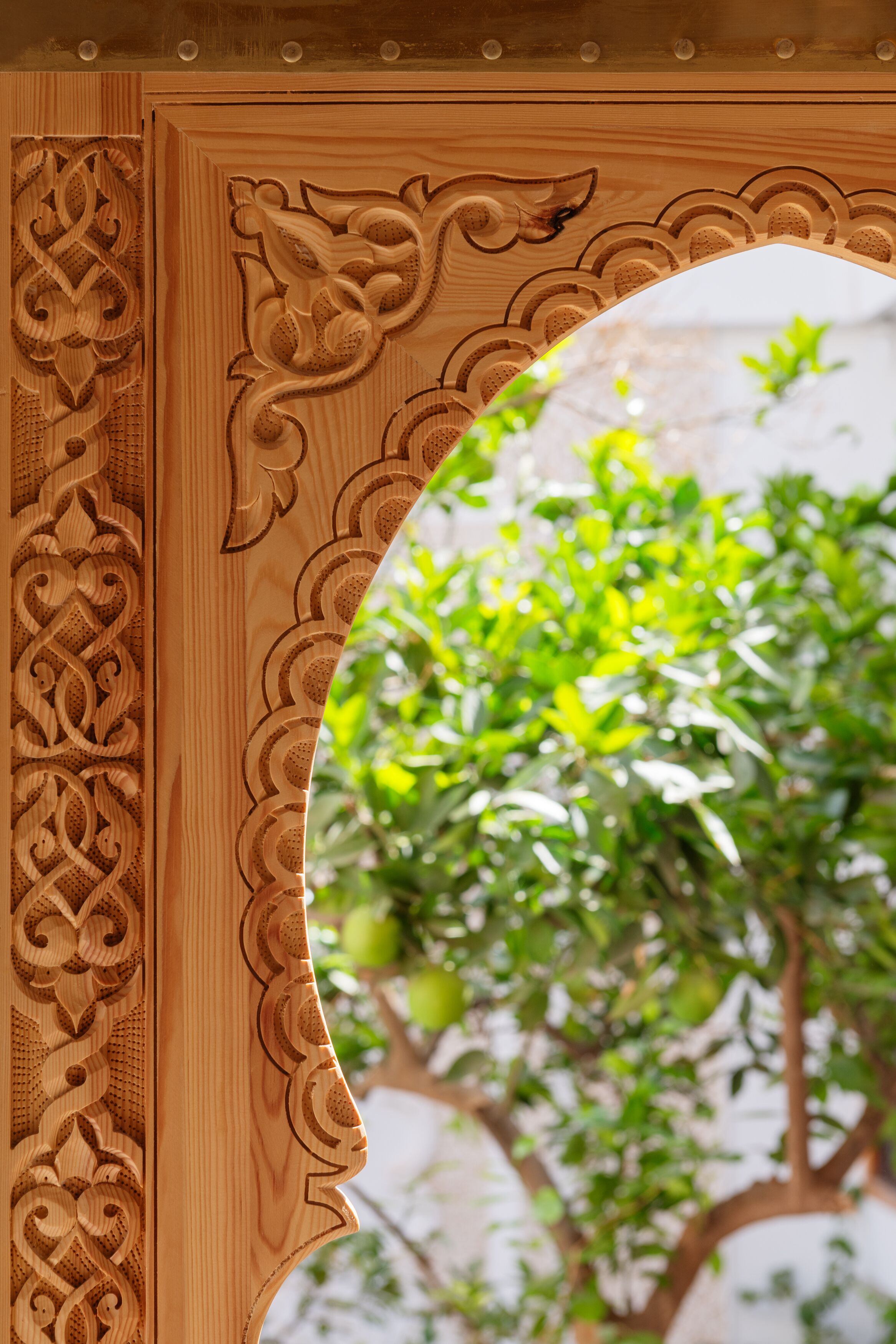 Foto - Riad Botanica