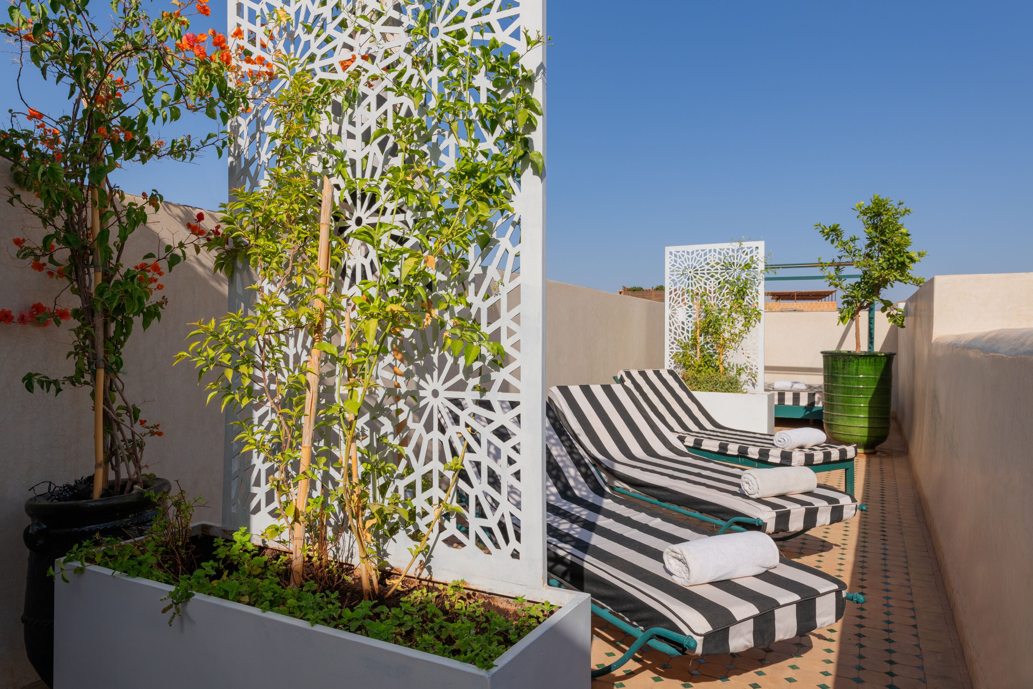 Foto - Riad Botanica