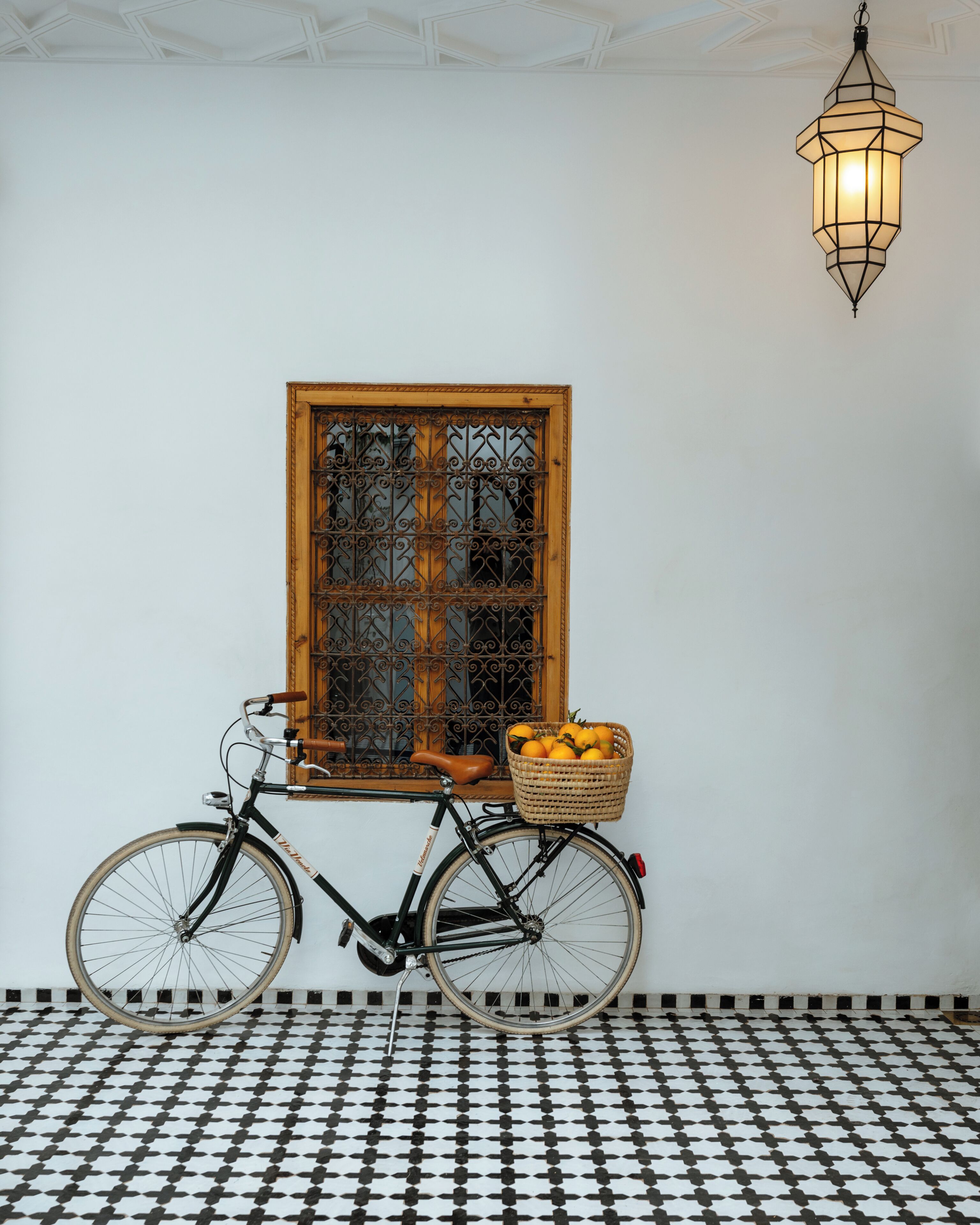 Photo - Riad Botanica