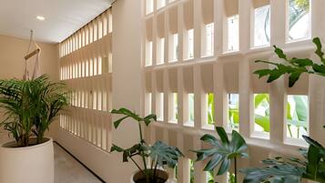 Apartment | Interior