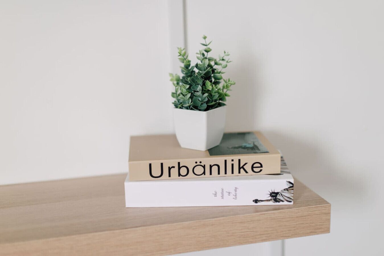 A small white planter with a green plant on a wooden shelf.