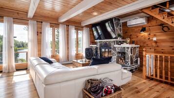 TV, fireplace, offices