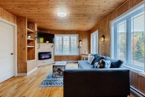 Fernseher, Kamin, Bücher, Arbeitsbereiche