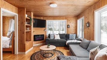 Télévision, cheminée, livres, espaces bureaux