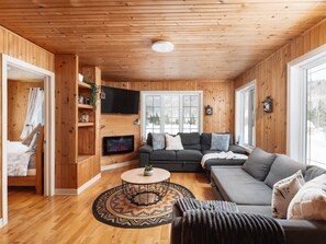 TV, fireplace, books, offices