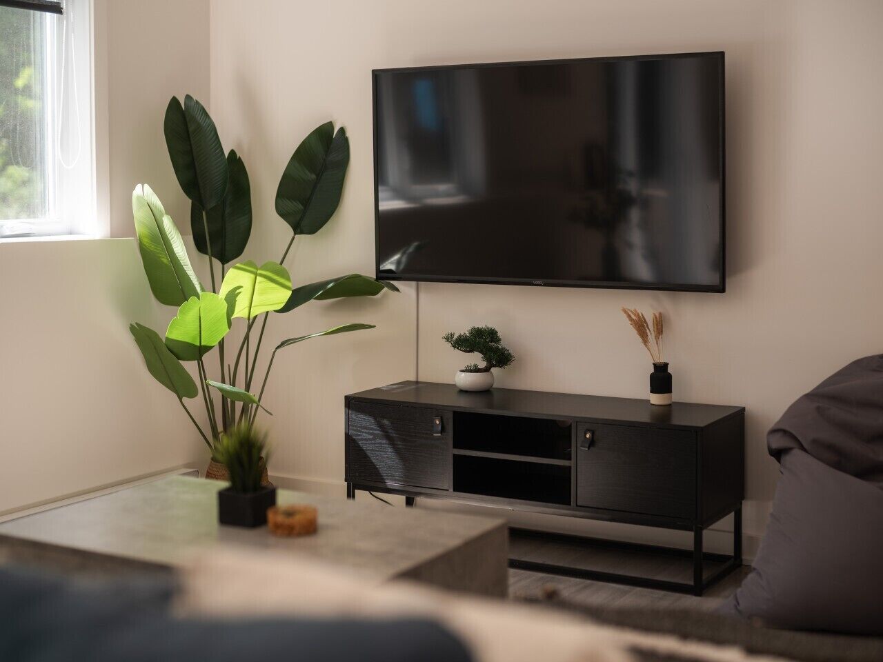A living room with a flat-screen TV mounted on the wall, a dark-colored entertainment unit with a small plant on top, and a large green plant in a pot on the floor.