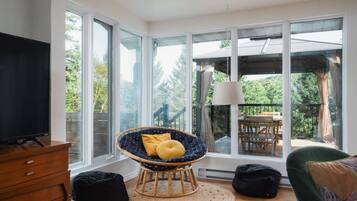 TV, fireplace, video games, books