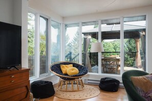 电视、壁炉、电子游戏、书