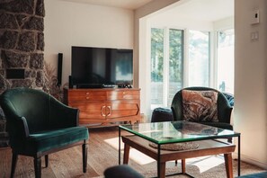 电视、壁炉、电子游戏、书