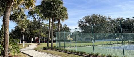Ein Tennisplatz mit Maschendrahtzaun, umgeben von Palmen und einem Kiesweg.