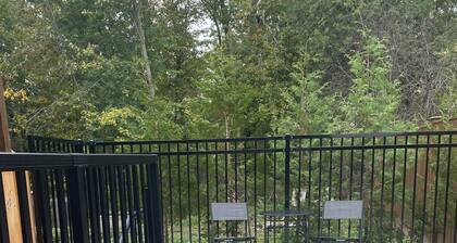 Brand new spacious apartment with private yard/ patio