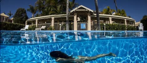Outdoor pool, pool umbrellas, pool loungers