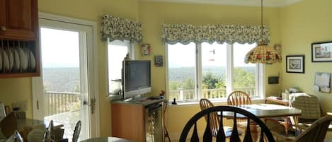 TV, fireplace, DVD player, video library
