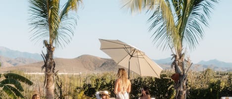 Outdoor pool, pool umbrellas, sun loungers