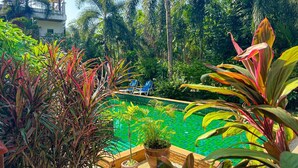 Un espace piscine doté d’un sol carrelé, entouré de différentes plantes et avec un bâtiment visible au fond.