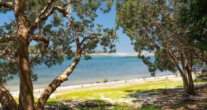Bushland Retreat beside a beautiful lake - big eco house with 4 large bedrooms.