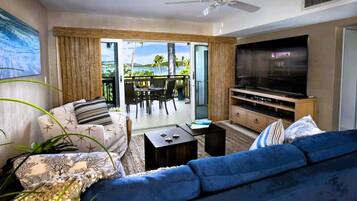 Télévision, livres, médiathÚque, chaßne hi-fi