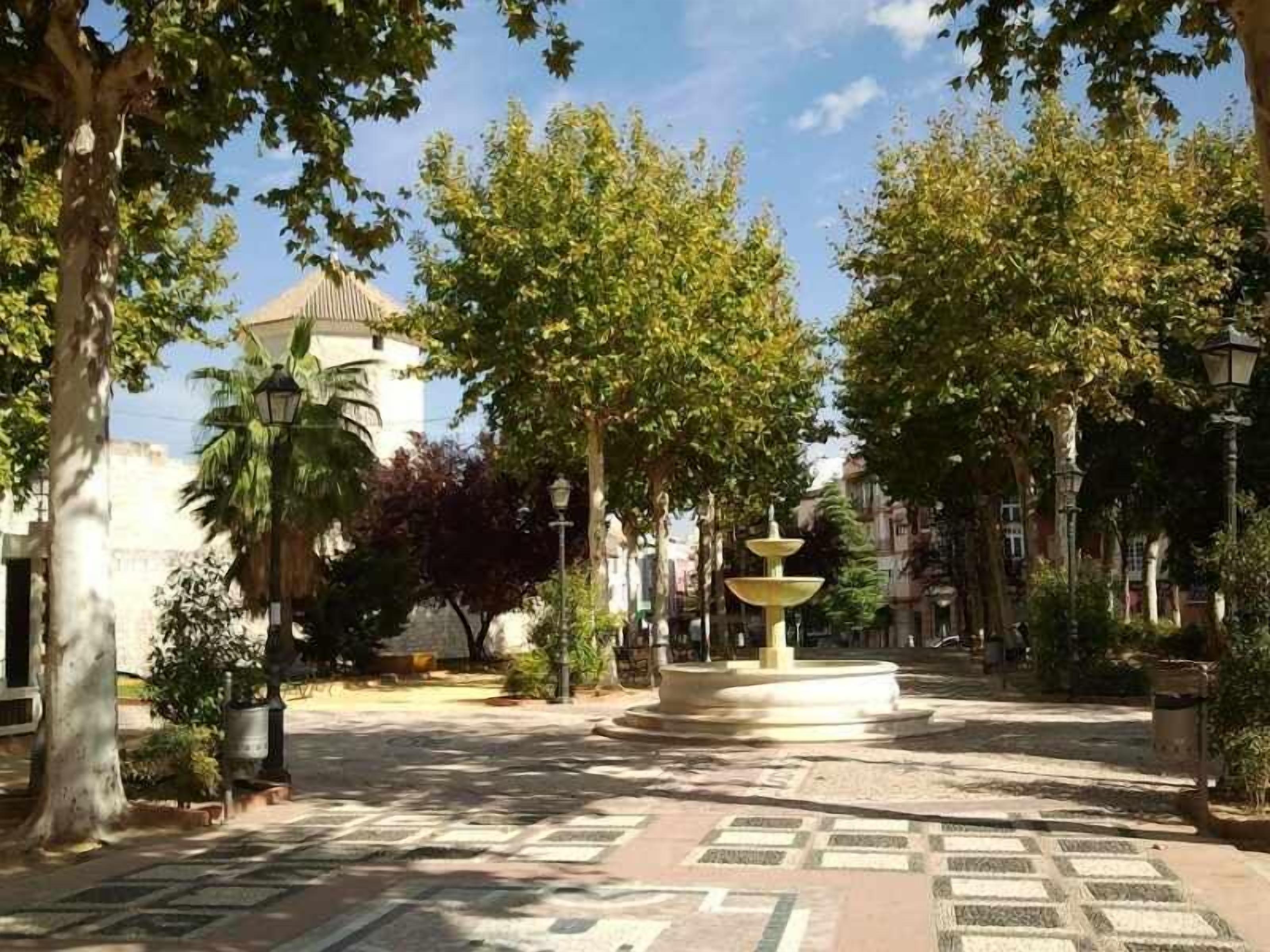 Un patio con una fuente, árboles y pavimento decorativo.
