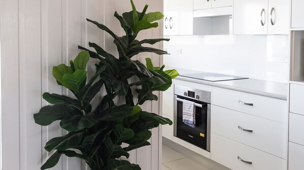 A modern kitchen with white cabinetry, a built-in oven, and a large green plant.