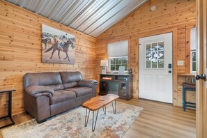 Smart TV, chimenea, libros