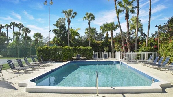 A rectangular swimming pool with a white border, surrounded by lounge chairs and palm trees.