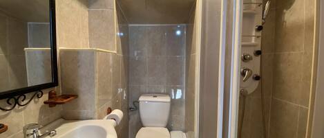 A bathroom with a sink, toilet, and shower.