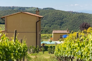 Ein Gebäude mit einem geneigten Dach, einem umzäunten Garten und einem Weinberg im Hintergrund.
