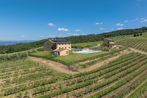 Ein Weingut mit Schwimmbad, zwei großen Gebäuden und Rebenreihen.