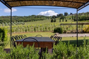 A table with chairs under a pergola, overlooking a vineyard.